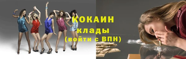 гашик Алексин