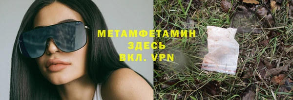 гашик Алексин