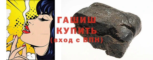 гашик Алексин
