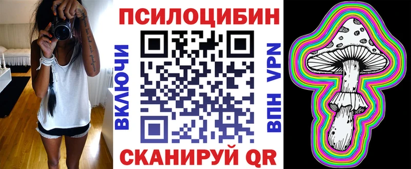 Псилоцибиновые грибы GOLDEN TEACHER  Амурск 